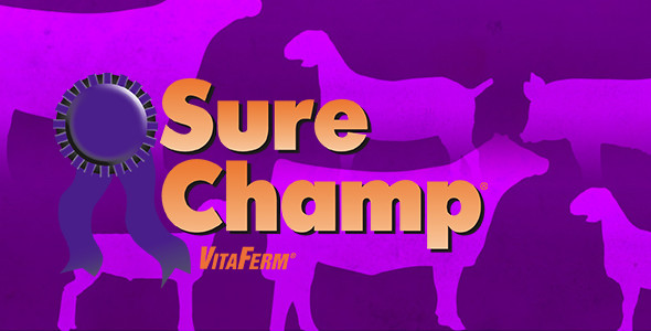 Sure Champ